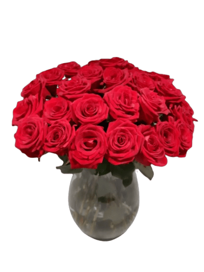 25 rosas rojas