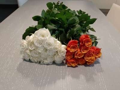 Rosas sueltas